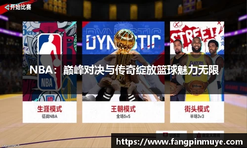 NBA：巅峰对决与传奇绽放篮球魅力无限