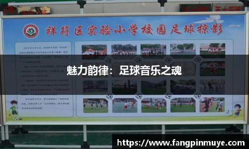 魅力韵律：足球音乐之魂