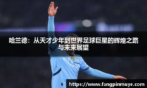 bb贝博bellbet官方网站